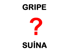 gripe