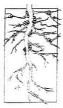 [clip_image005[3].jpg]