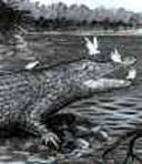 [clip_image011[3].jpg]