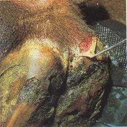 [clip_image014[3].jpg]