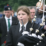 8450018.jpg
