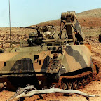 bogged113.jpg