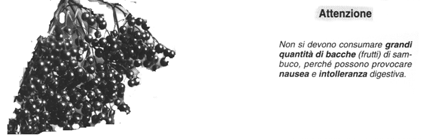 [image[5].png]