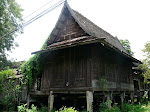 P1060019.JPG