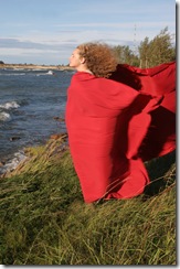 to fly on the wind to fly on the wind