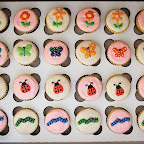 Custom Cupcakes - 2009-08-29_17-29-46_9389.jpg