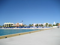 IMG_2595.JPG