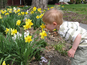  &ndash; 19-Apr-2008