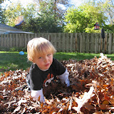  &ndash; 19-Oct-2008