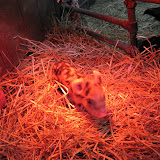  &ndash; 04-Nov-2007