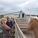  &ndash; 04-Nov-2007