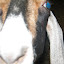  &ndash; 03-May-2009