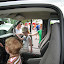 David and Jane. Meet the Trucks, Lakewood, Ohio. &ndash; 05-Jun-2010