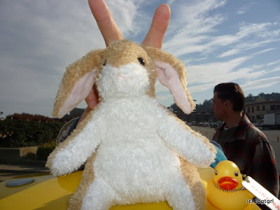 http://lh6.ggpht.com/_ww6ttbVula0/S0GWkvzq0rI/AAAAAAAAAIk/NAhbo1O7hPA/s400/P1000465.JPG