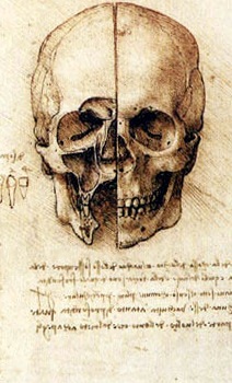 [Tete_Leonardo[2].jpg]