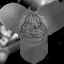 Copy of flower.jpg