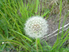 My N900 Photography