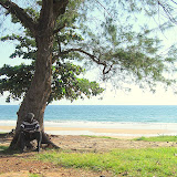  &ndash; Shoreline at the beach…. © 2008 NHA Photos, Vicki Hicks, Photographer