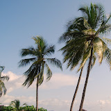  &ndash; Tree lined shoreline…. © 2008 NHA Photos, Vicki Hicks, Photographer