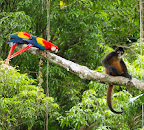 The Tico-Nica Tour 2011 Slideshow