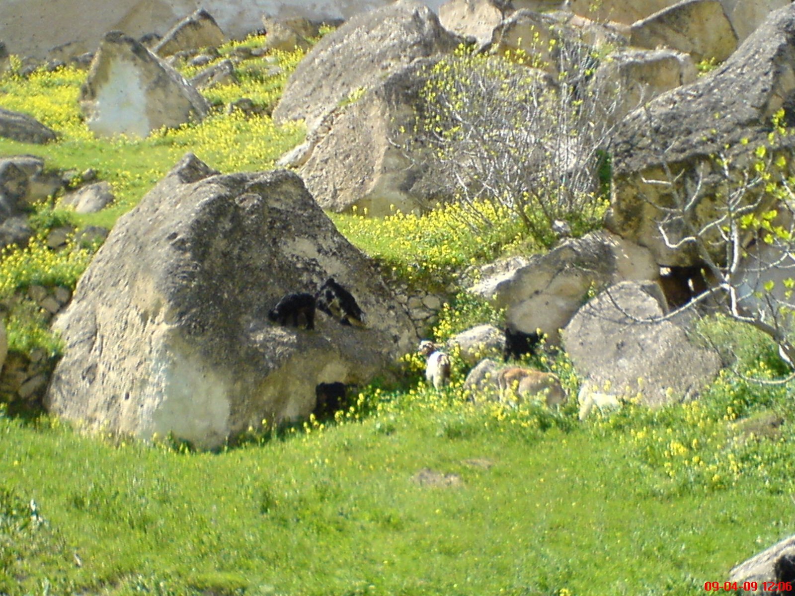 [DSC01991.JPG]