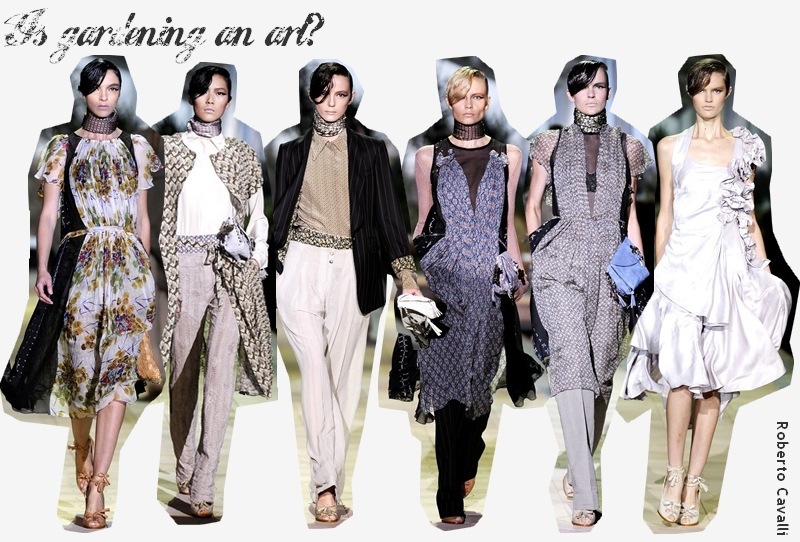 roberto cavalli