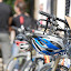 20080524-103946-_MG_4868.jpg