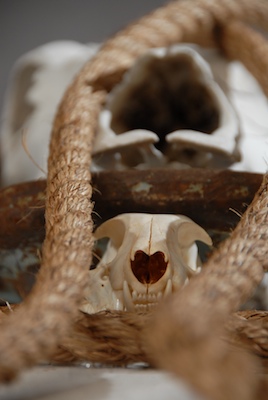 2009_Skull_Altar_II_detail_blog.jpg