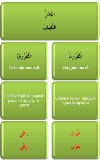 mugtal_lafif  ... -! ( ,  № 2)