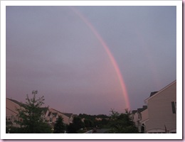 IMG_1943 IMG_1943