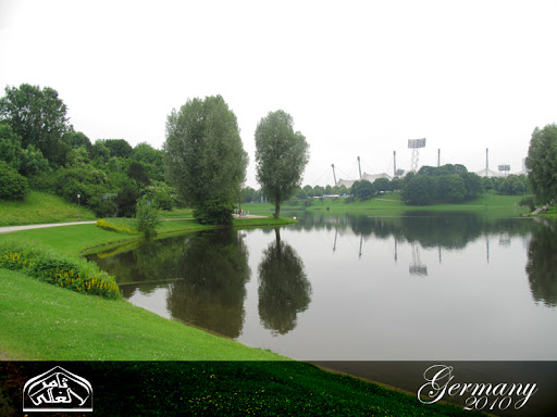 نقرتين لعرض الصورة في صفحة مستقلة