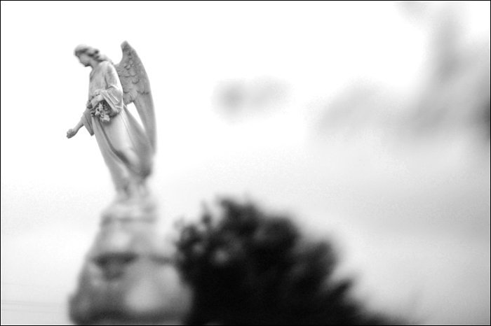 Angel