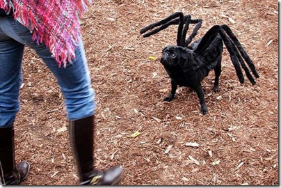 happy_halloween_640_02