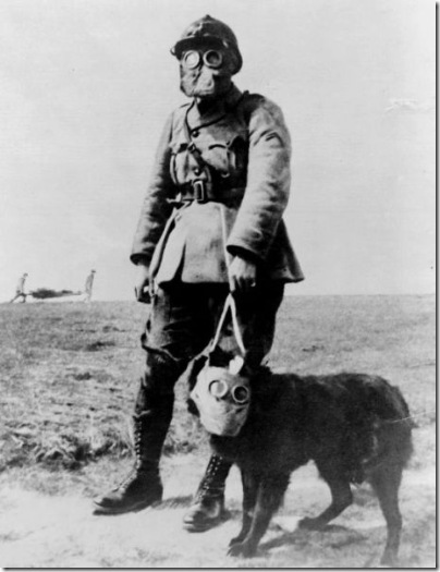 Equipment for the trenches. Date Created between 1914 and 1918, A French sergeant and a dog, both wearing gas masks, on their way to the front line. Photo by National Photo Company Collection.
