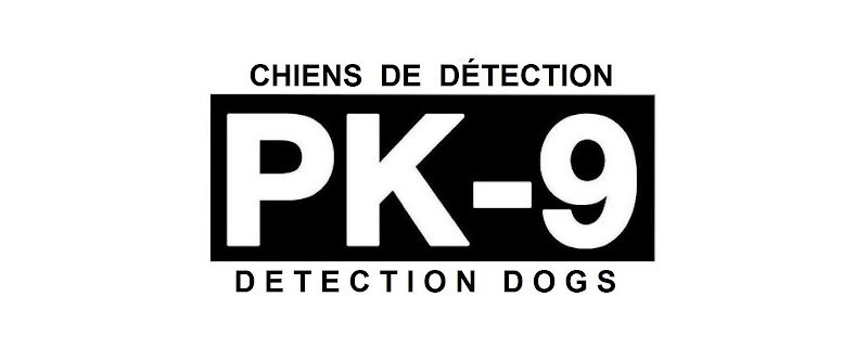 chien detection punaises lit