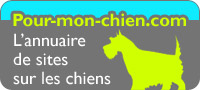 Education dressage chien dresseur