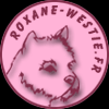 education canine westie