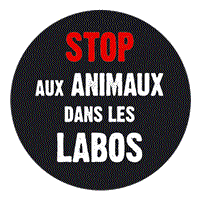 chien laboratoire