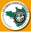 education chiot en chien