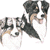 chien de race larochelle