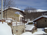 STP60994.JPG