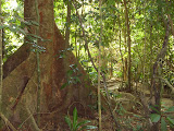STP60546.JPG