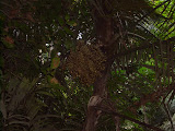 STP60551.JPG