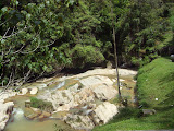 STP60663.JPG