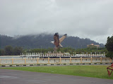 STP60763.JPG