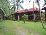STP60768.JPG