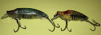 20100315_0007.JPG