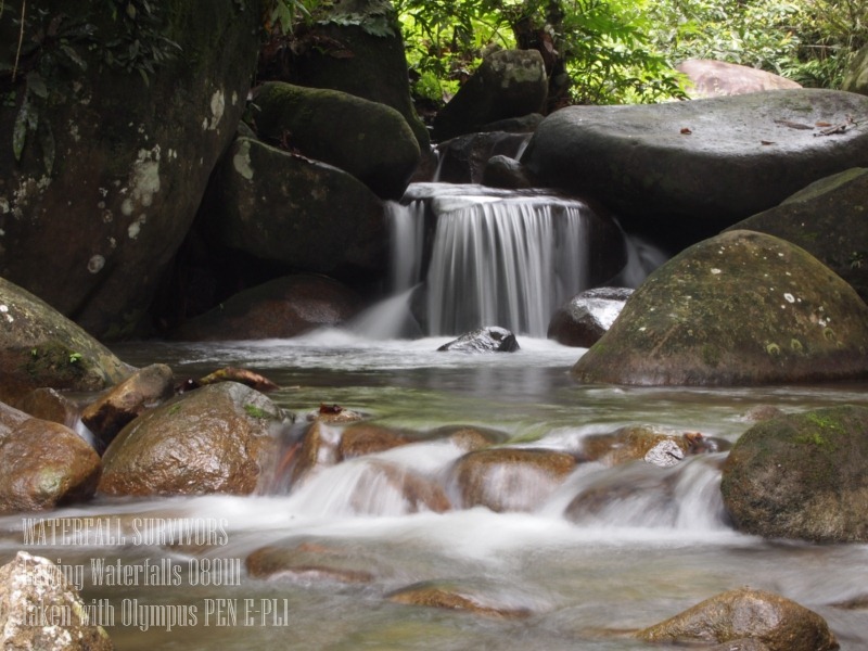 [P1086204 Waterfall Survivors[3].jpg]