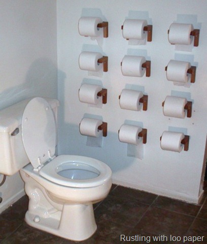 [toilet-paper-toilet[6].jpg]