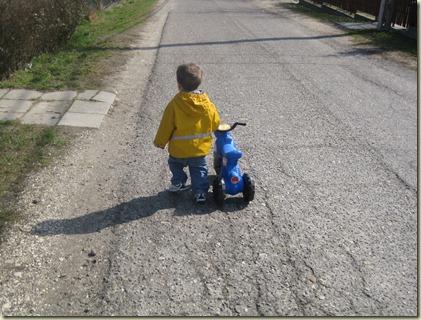 IMG_8262 IMG_8262
